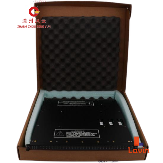 TRICONEX 3625C1 EPI3382 Module, 2021 Production - www.moduledcs.com
